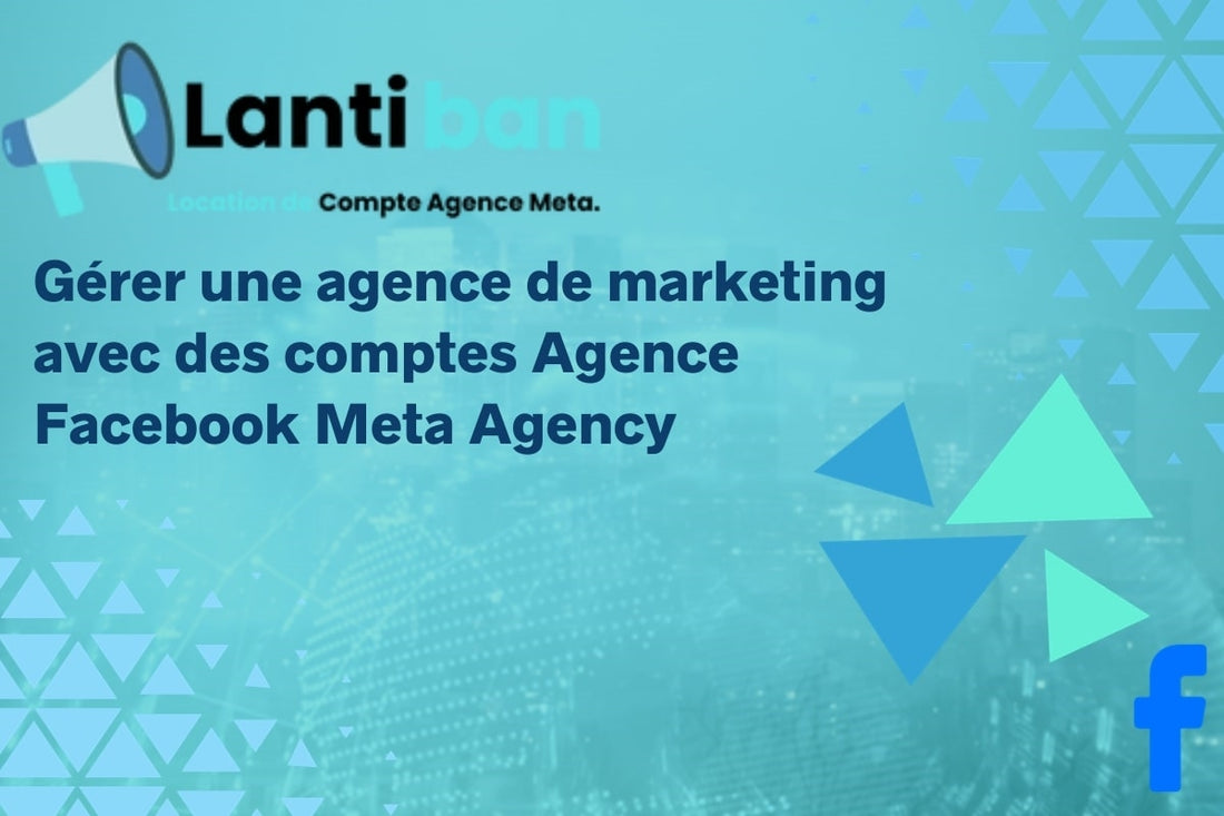 Compte Agence Facebook Meta Agency